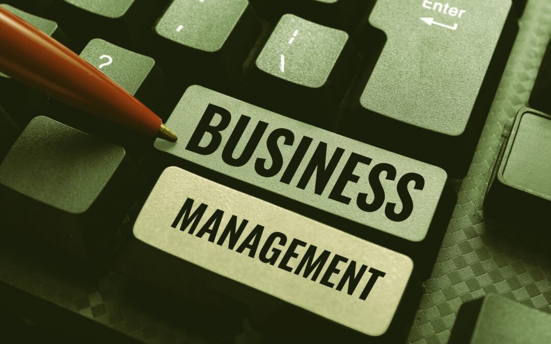 How Business Management Consulting Helps Florida Companies Thrive