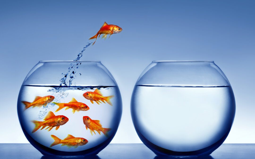 The Cost of Not Evolving: What Our Most Difficult Clients Teach Us.